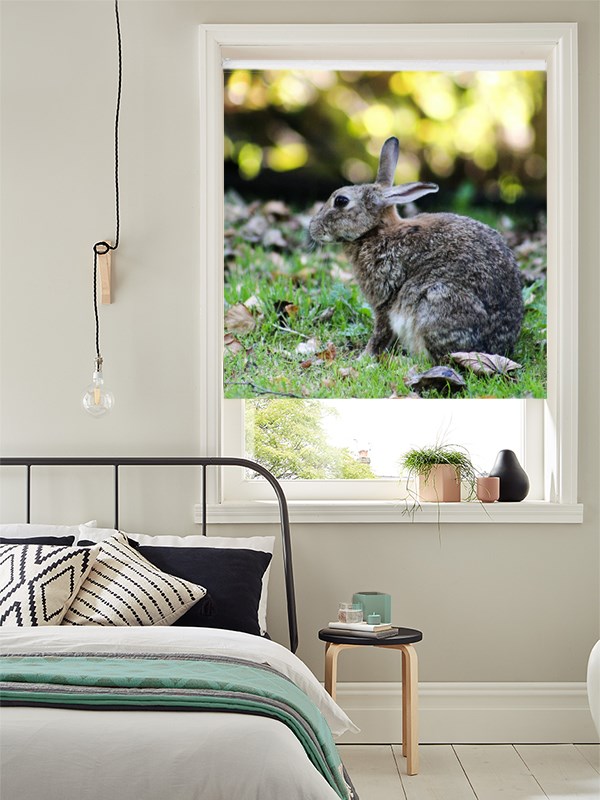 Electric Photo Roller Blinds - Upload Your Own Photo