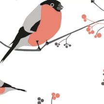 Bullfinch Electric Roller Blind by Lorna Syson