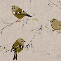 Goldcrest Electric Roller Blind by Lorna Syson