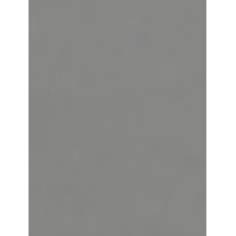 Gargoyle Extra Large Electric Roller Blind