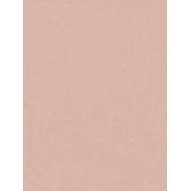 Rose Petal Pink Premium Daylight Electric Roller Blind