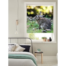 Electric Photo Roller Blinds - Upload Your Own Photo