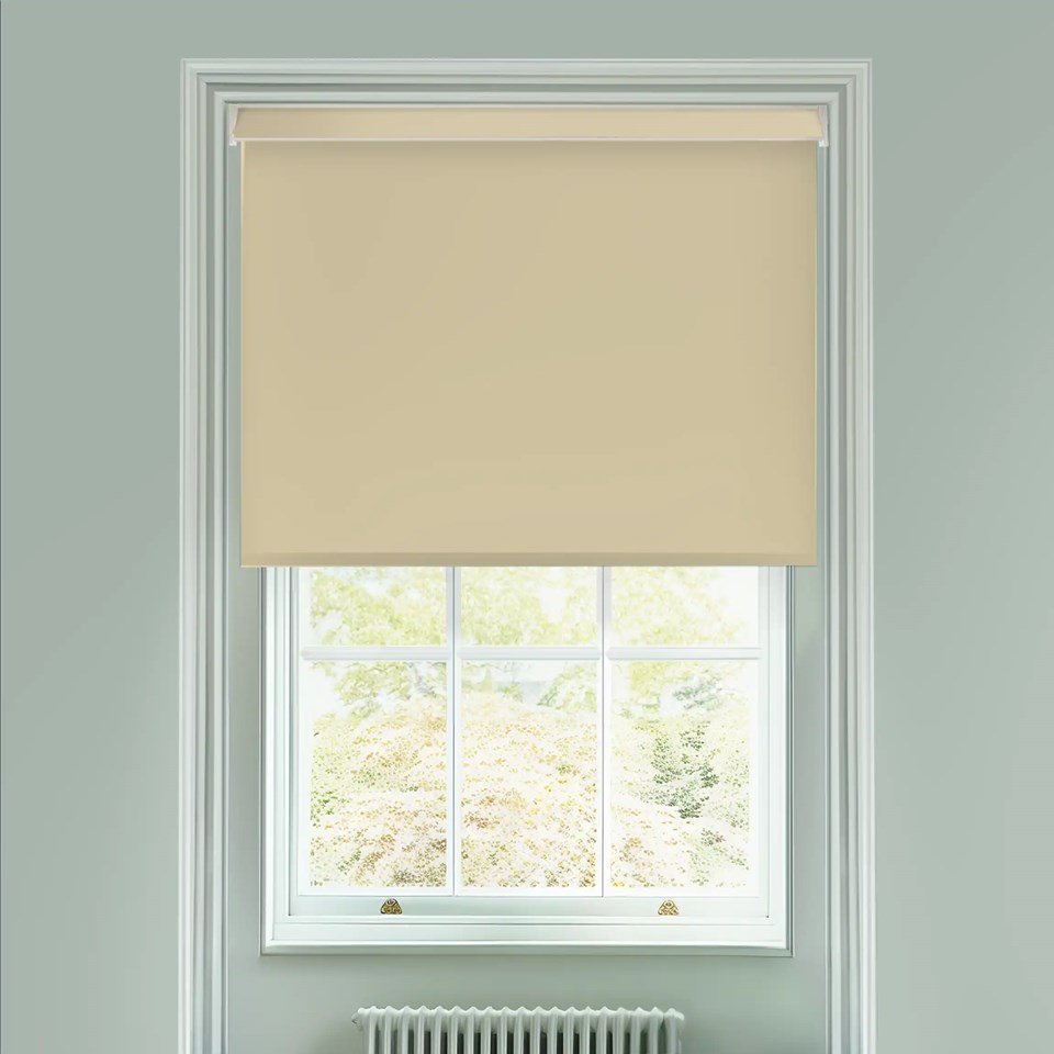 Parfait Premium Daylight Electric Roller Blind