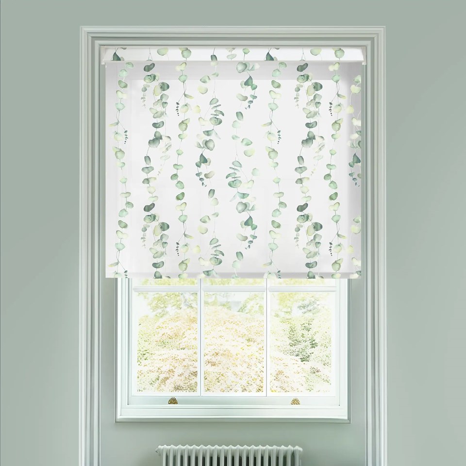 Sheer Eucalyptus Green Electric Roller Blind