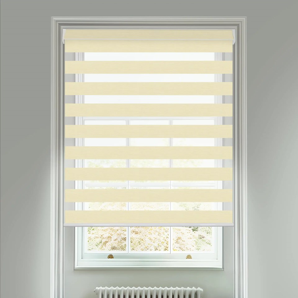 Picturesque Beige Electric Vision Day and Night Blind